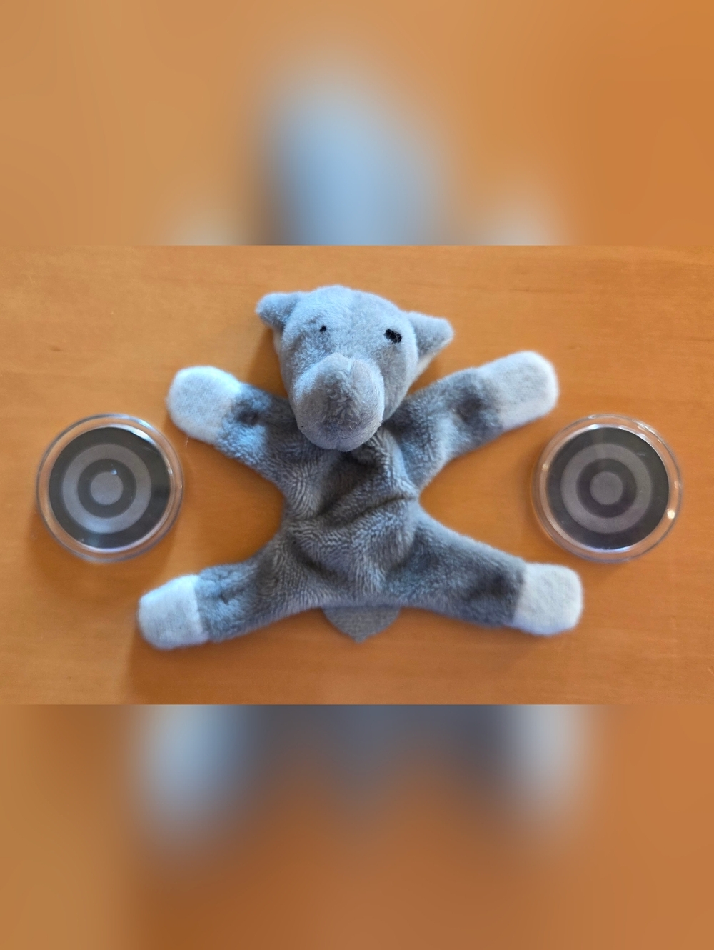 Elephant & Circle Magnets Lot